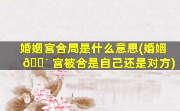婚姻宫合局是什么意思(婚姻 🐴 宫被合是自己还是对方)